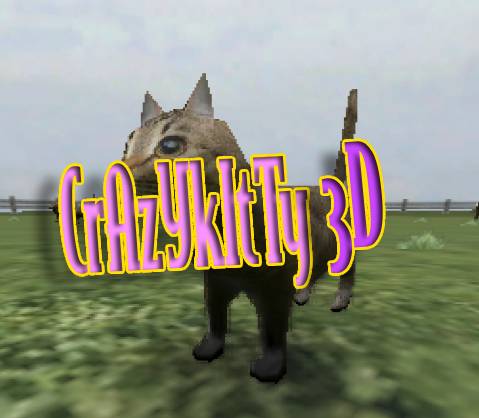 Play Crazy Kitty 3D Unblocked